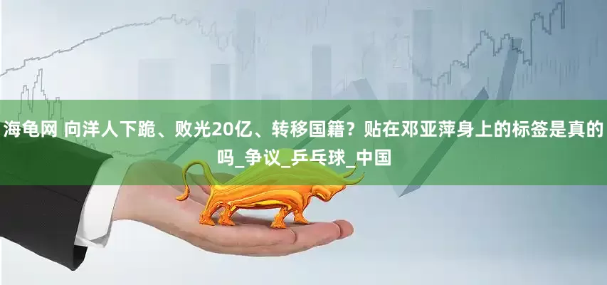 海龟网 向洋人下跪、败光20亿、转移国籍？贴在邓亚萍身上的标签是真的吗_争议_乒乓球_中国