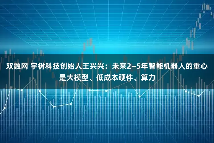 双融网 宇树科技创始人王兴兴：未来2—5年智能机器人的重心是大模型、低成本硬件、算力