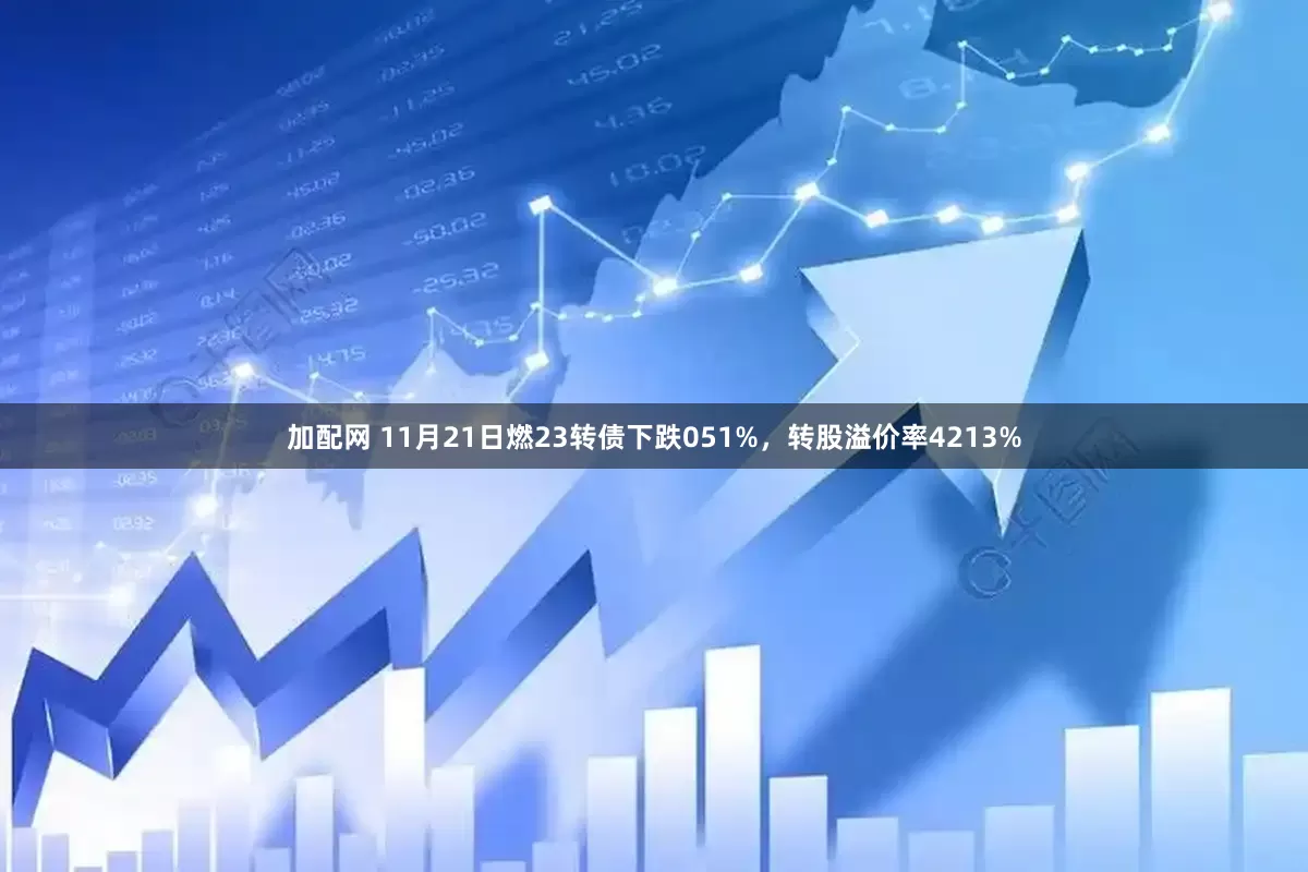 加配网 11月21日燃23转债下跌051%,转股溢价率4213%