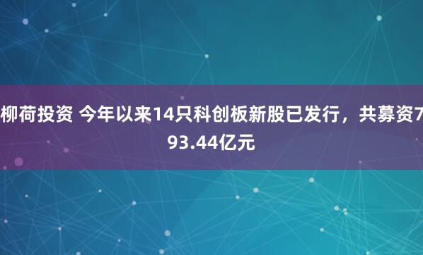 柳荷投资 今年以来14只科创板新股已发行，共募资793.44亿元